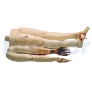 Kit de Extrusão / Trauma Resusci Anne Resusci Anne Manikin